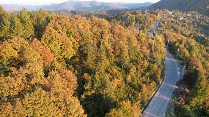 Zonguldak'taki Kent Ormanı görenleri büyülüyor