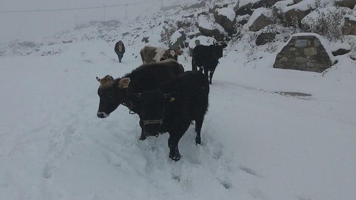 Rize'nin yüksek kesimlerine kar yağdı: Yaylacılar dönüyor