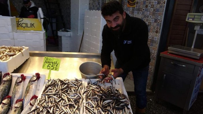 Karadeniz'de hamsi yüzünü gösterdi