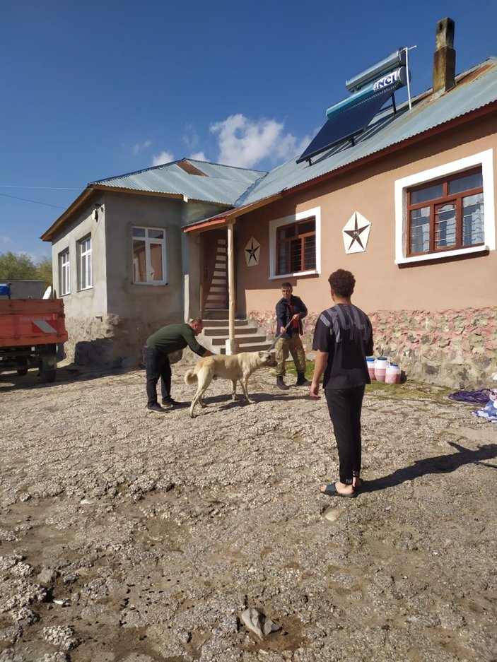Bitlis’te kuduz köpeklerin saldırı sonrası aşı çalışması