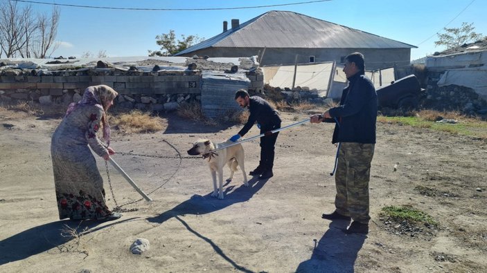 Bitlis’te kuduz köpeklerin saldırı sonrası aşı çalışması