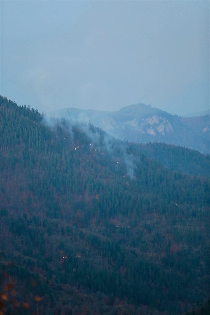 Bolu Yedigöller Milli Parkı'nda yangın