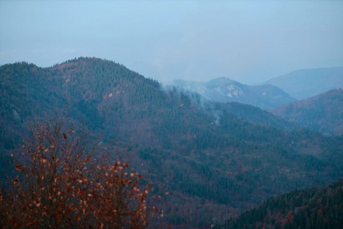 Bolu Yedigöller Milli Parkı'nda yangın