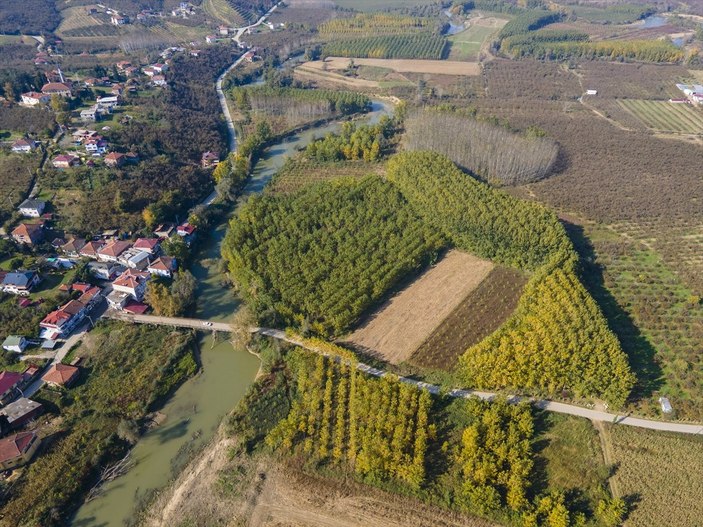 Sakarya'da Melen Çayı sonbahar renklerine büründü