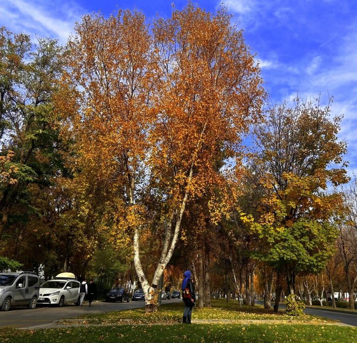 Erzurum sonbaharda güzelliği ile büyüledi