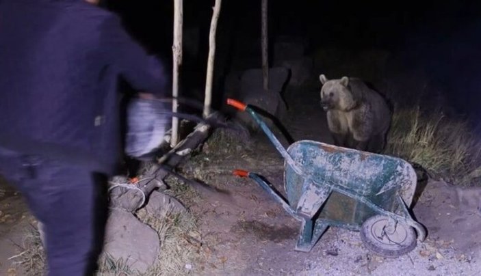 Bitlis'te piknikçiler kendilerine yaklaşan ayıyı taburelerle kovaladı