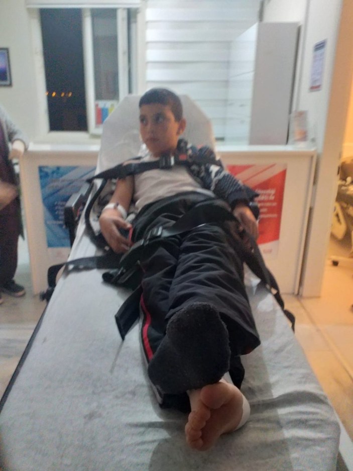 Bitlis'te köpek saldırısında kuduz olan çocuk hayatını kaybetti