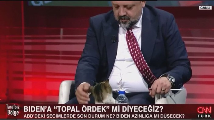 CNN Türk canlı yayınına kedi sürprizi