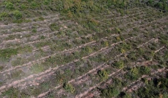 Aydos Ormanı’nda PKK'lı teröristin yaktığı ormanlık alanın son hali görüntülendi