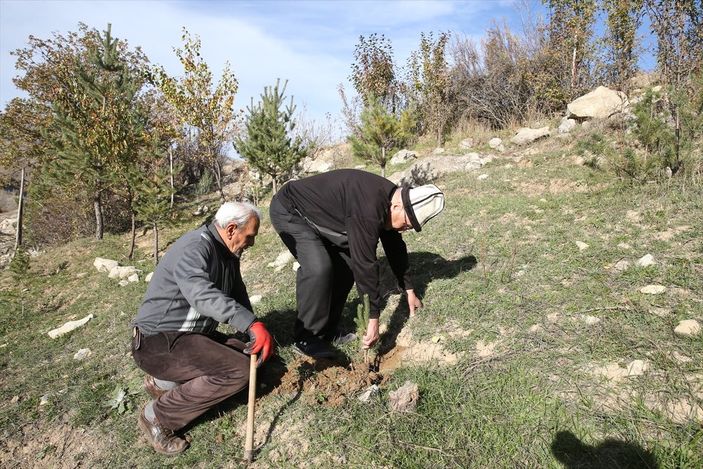 Giresunlu Cemal Emmi, 30 yıldır köyündeki atıl arazileri ağaçlandırıyor