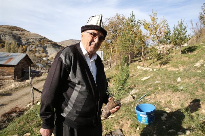Giresunlu Cemal Emmi, 30 yıldır köyündeki atıl arazileri ağaçlandırıyor