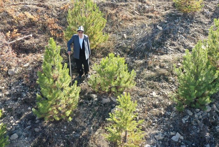 Giresunlu Cemal Emmi, 30 yıldır köyündeki atıl arazileri ağaçlandırıyor