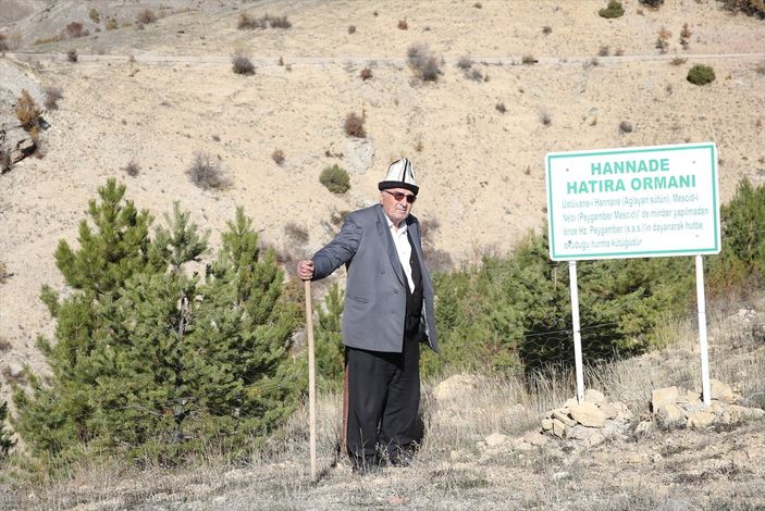 Giresunlu Cemal Emmi, 30 yıldır köyündeki atıl arazileri ağaçlandırıyor