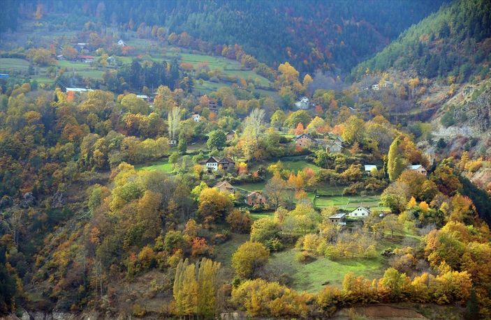 Gümüşhane'deki ‘Örümcek Ormanları’ndan sonbahar manzaraları