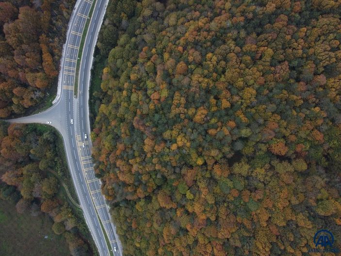 Batı Karadeniz'in renkleri görsel şölen sundu
