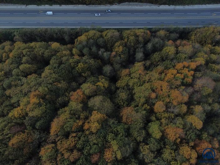 Batı Karadeniz'in renkleri görsel şölen sundu
