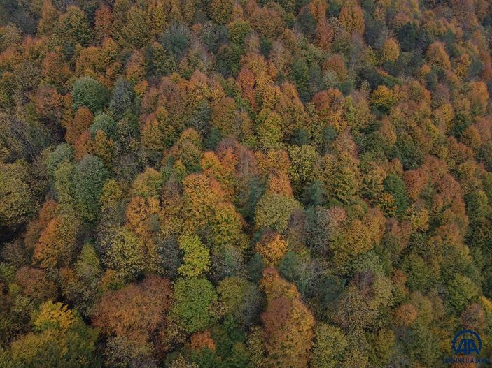 Batı Karadeniz'in renkleri görsel şölen sundu