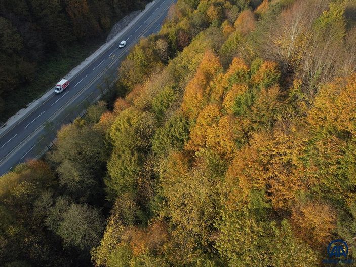 Batı Karadeniz'in renkleri görsel şölen sundu