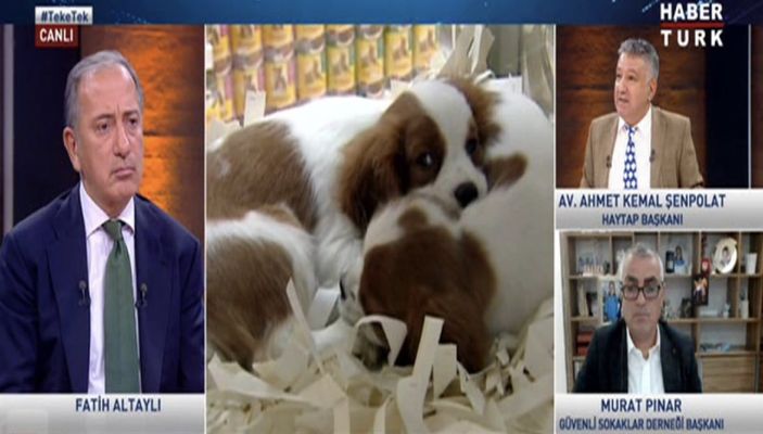 Fatih Altaylı'dan konuğuna: Beni delirtmeyin lütfen