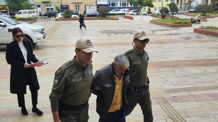 Aydın'da köpek tecavüzcüsü şahıs tutuklandı