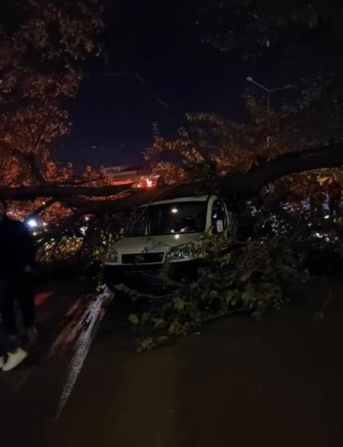 Bursa'da şiddetli lodos: Ağaçlar devrildi