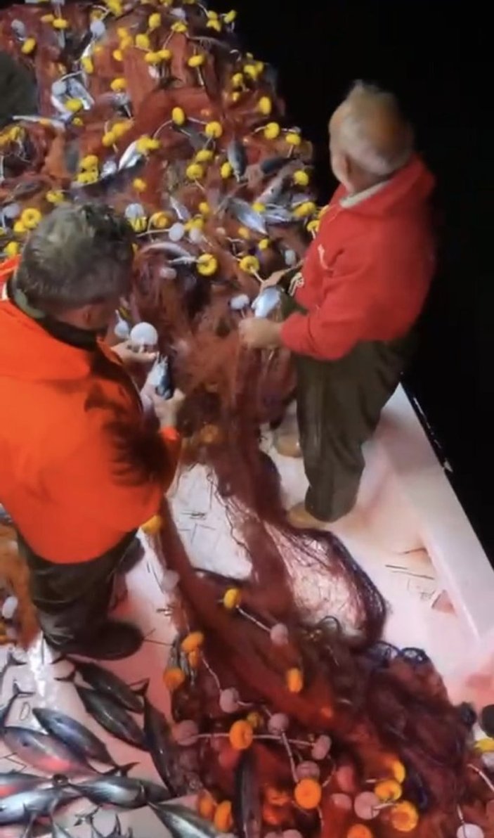 Çanakkale Boğazı'nda balıkçılar tek seferde 2 bin palamut yakaladı
