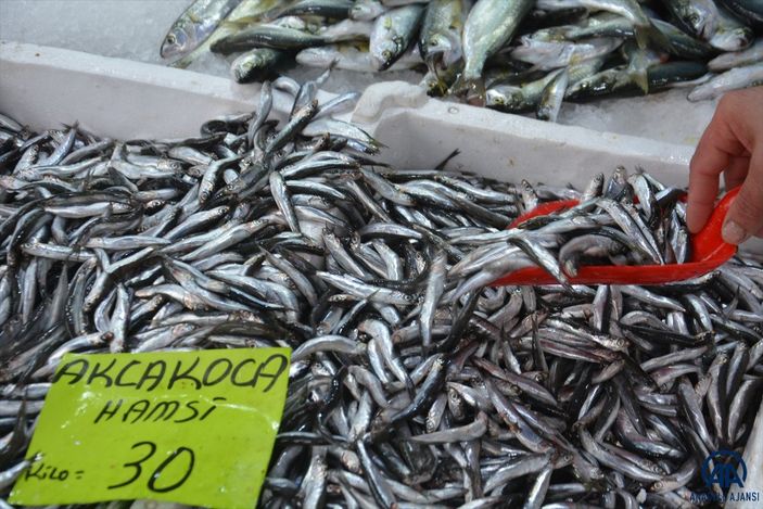 Düzce'de balık tezgahları şenlendirdi