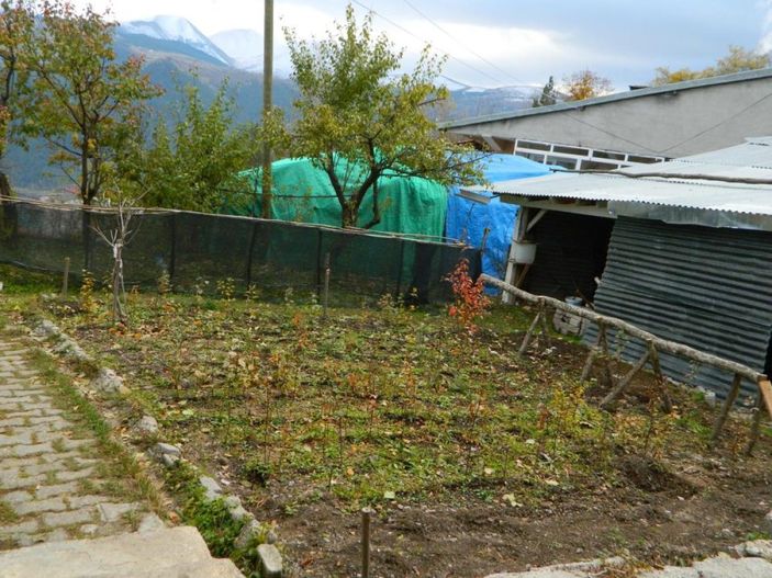 i Ardahan'da yeteneğiyle görenleri şaşırtıyor: Kafasına vurulan elmanın rengini biliyor