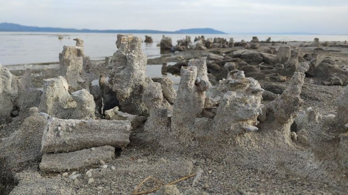 Van Gölü'ndeki mikrobiyalitler, suların çekilmesi ile zarar görmeyecek