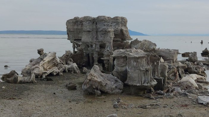 Van Gölü'ndeki mikrobiyalitler, suların çekilmesi ile zarar görmeyecek