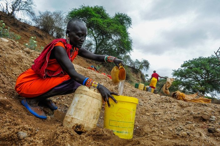 Kenya'da yaban hayvanlar, kuraklık nedeniyle telef oluyor