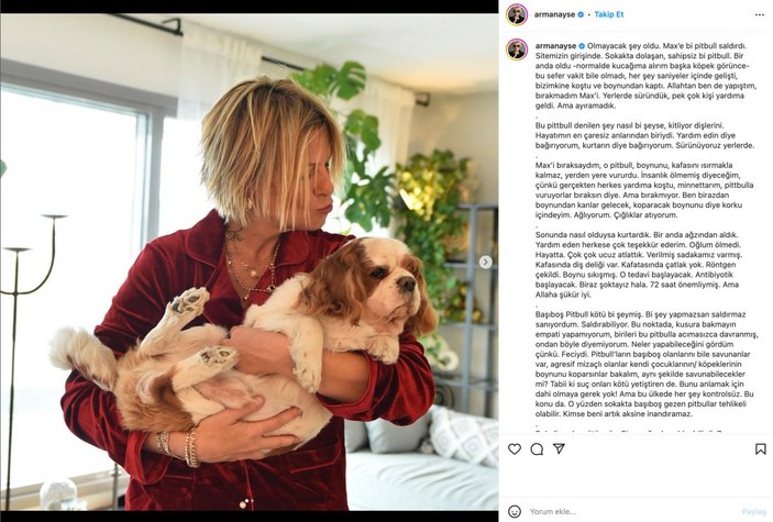 Ayşe Arman'ın köpeği başıboş pitbull saldırısına uğradı
