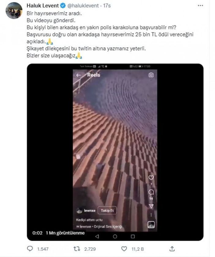 d Haluk Levent, kediyi çatıdan atanı bulana para ödülü verileceğini duyurdu