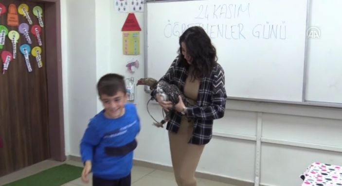 Batman'da öğretmenine kümesten getirdiği tavuğu hediye etti