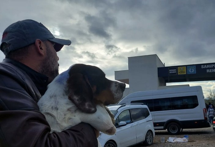 Konya'daki barınakta cins köpekler sahiplenildi sokak köpekleri kaldı