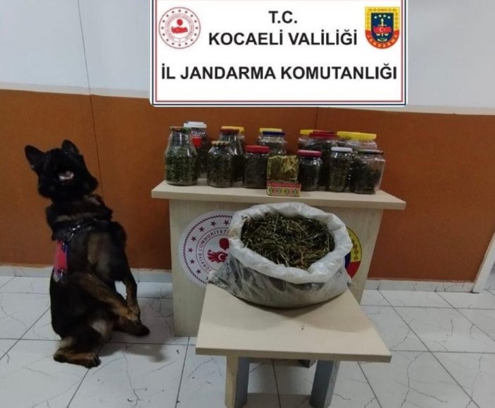 Kocaeli'de kavanoz ve plastik bidonlara saklanmış 4 kilo esrar yakalandı
