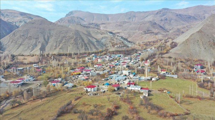 Kars'ta kuduz kedi öldü, köy karantinaya alındı