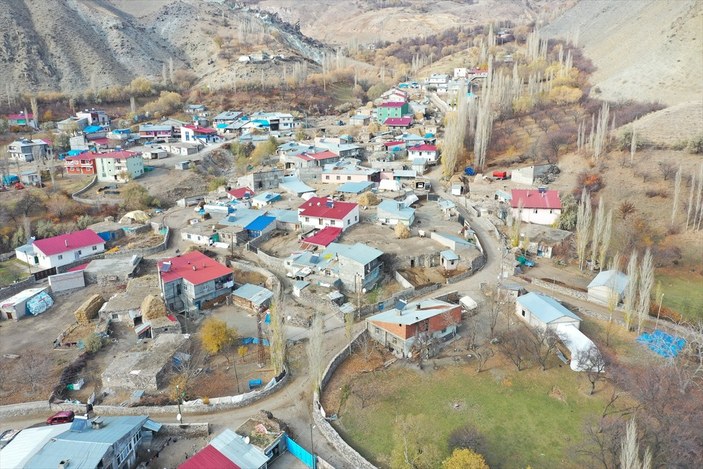 Kars'ta kuduz kedi öldü, köy karantinaya alındı