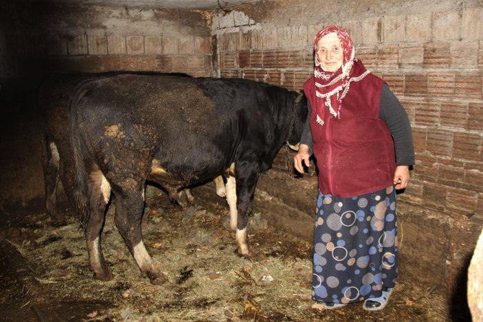 Kocaeli'de hayvanlarını otlatan kadına söylenen sözler hayrete düşürdü