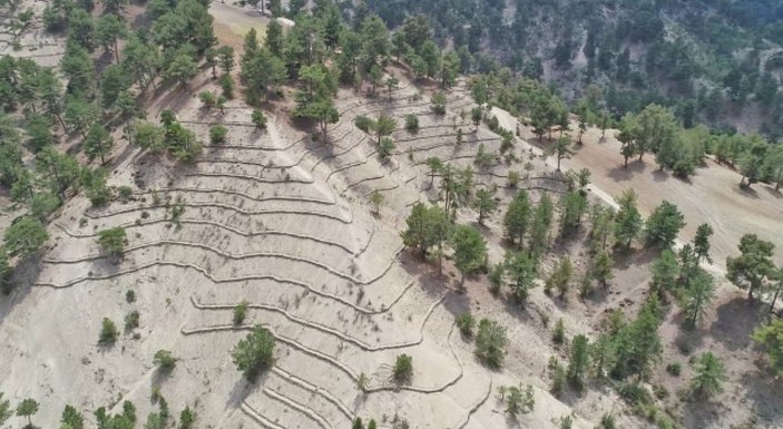 Murat Kurum: Toprak kaybını 500 milyondan 113 milyona indirdik