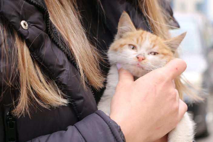 Diyarbakır'da şefkatli polis, sıkışan kediye yardım eli uzattı