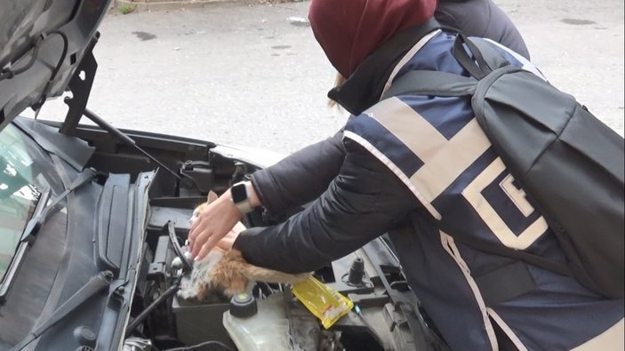 Diyarbakır'da şefkatli polis, sıkışan kediye yardım eli uzattı