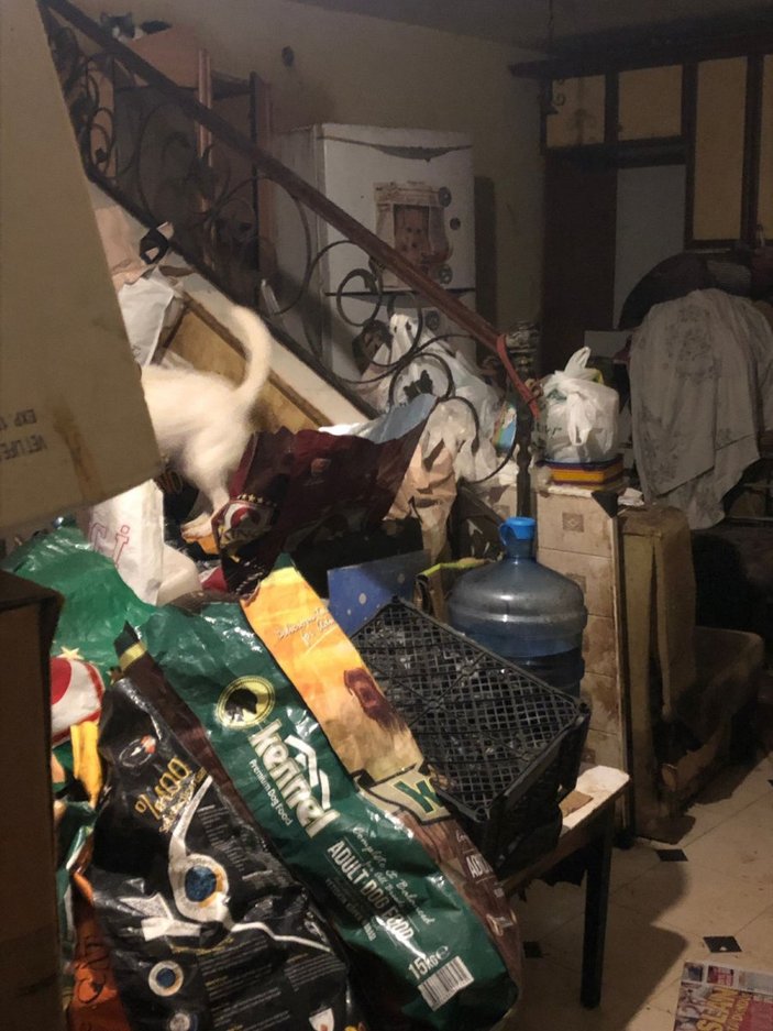Marmaris’teki bir evde çok sayıda çürümüş köpek ve kedi ölüsü bulundu