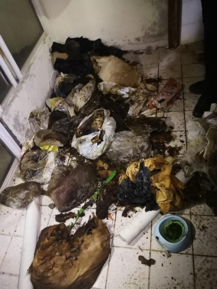 Marmaris’teki bir evde çok sayıda çürümüş köpek ve kedi ölüsü bulundu