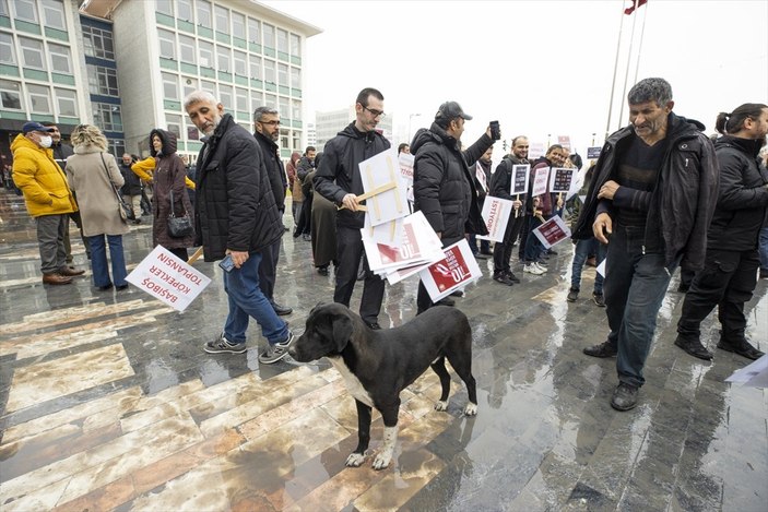 Ankara'da başıboş sokak köpeği protestosu