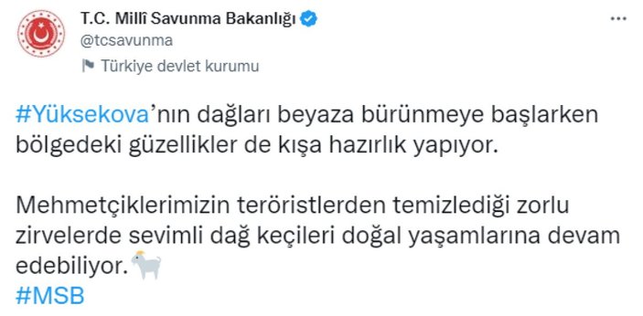 Terörden temizlenen Yüksekova'da dağ keçileri görüntülendi