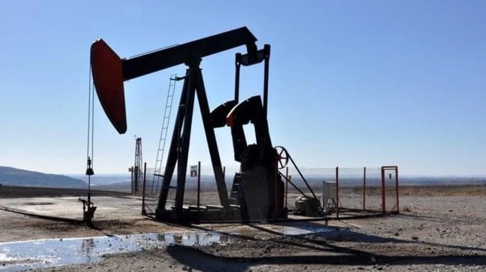 Suudi Arabistan Enerji Bakanı'ndan OPEC+ açıklaması