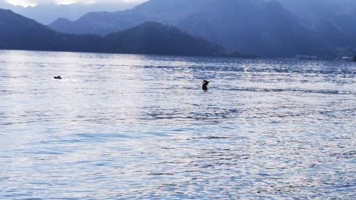 Muğla'da aralık ayında denize girdiler