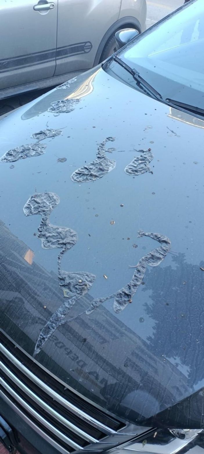 Aydın’da, zabıta müdürünün otomobiline boya sökücü döküldü