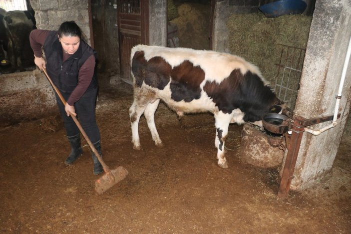 Hataylı kadın girişimci devlet desteğiyle besici oldu